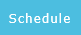 Schedule reports