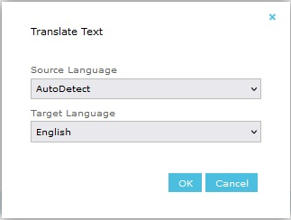 Translate Text Dialog