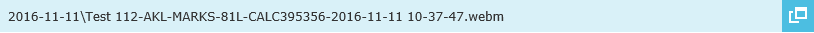 Viewing an Evaluation 40